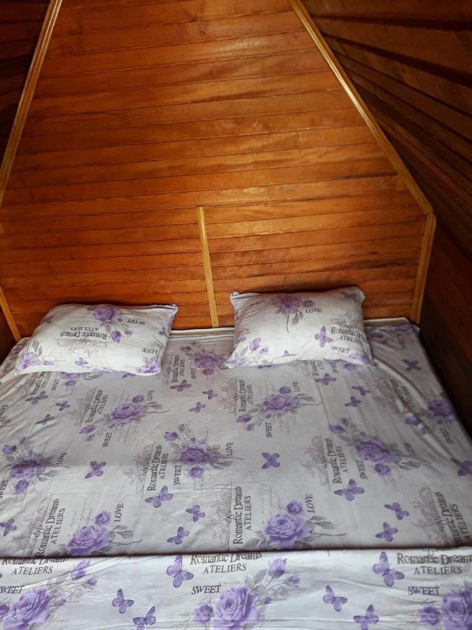 Bed and Breakfast Prenociste Vitas Miljevina Zewnętrze zdjęcie