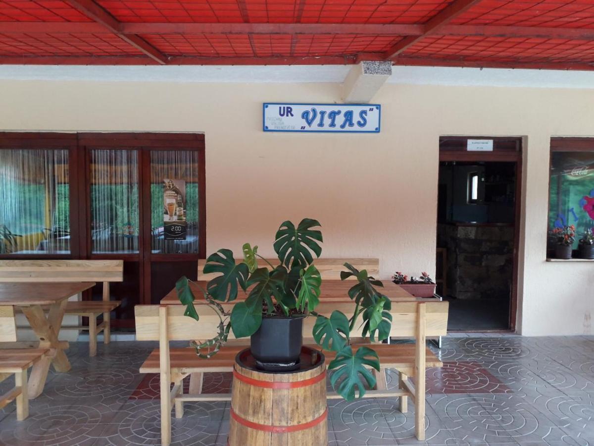 Bed and Breakfast Prenociste Vitas Miljevina Zewnętrze zdjęcie