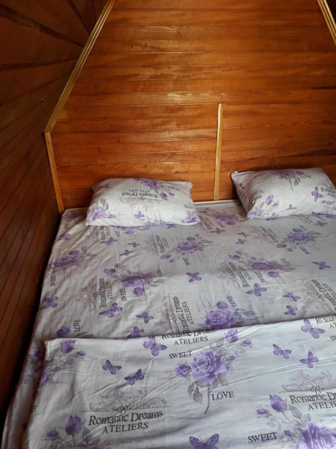 Bed and Breakfast Prenociste Vitas Miljevina Zewnętrze zdjęcie